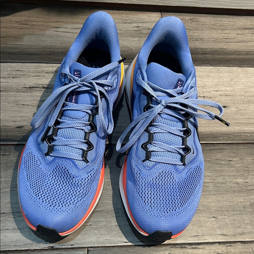 Nike Pegasus 41.